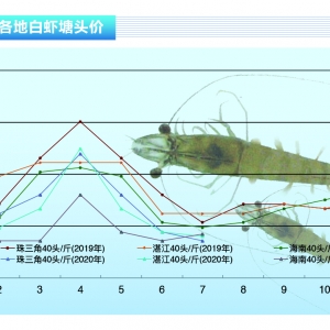 ���r���������鷴�����ӄ����r�r���µ�������ˮ�aǰ�ء�2020��8�¿��Ј�څ��