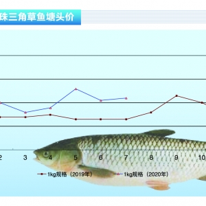 ���~����ˮ���²��~���؜p�a��δ��������ڡ�����ˮ�aǰ�ء�2020��8�¿��Ј�څ��