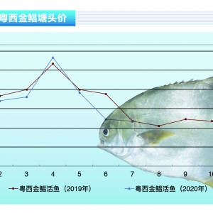 ���K�~�����~���������ߣ��B(y��ng)�����~�e�O������ˮ�a(ch��n)ǰ�ء�2020��8�¿��Ј�(ch��ng)څ��(sh��)