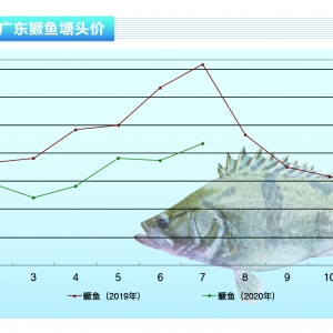 �Z�~���������������ؼ����q��30Ԫ������ˮ�aǰ�ء�2020��8�¿��Ј�څ��