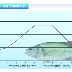 �����|���~�r���N���p�p�»�����ů����������ˮ�aǰ�ء�2020��4�¿��Ј�څ��