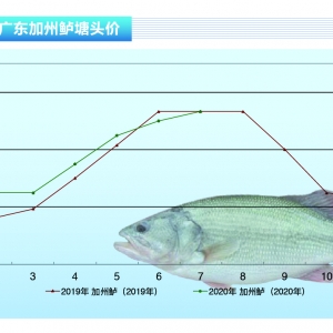�����|�������p�٣��r�񷀲��ϝq������ˮ�aǰ�ء�2020��8�¿��Ј�څ��