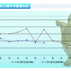 ���~�����M��ή�s�������Ѓr�o�С�����ˮ�aǰ�ء�2020��8�¿��Ј�څ��