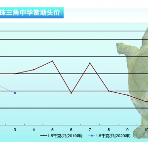 ���~�����M��ή�s�������Ѓr�o�С�����ˮ�aǰ�ء�2020��4�¿��Ј�څ��