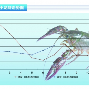 С���r�����D�y�ĕr�����^��С���r������F��ů������ˮ�aǰ�ء�2020��8�¿��Ј�څ��