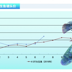 ���~���Ј������~���~�r���q���~�繩�����󡪡���ˮ�a(ch��n)ǰ�ء�2020��8�¿��Ј�څ��