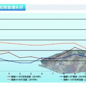 ʯ���~���F�A���~���q�r�����Bֳ�����������Ј�������ˮ�aǰ�ء�2020��4�¿��Ј�څ��