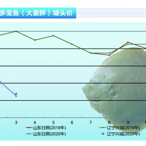 �����~���Ƶ���δ��ȫ�֏ͣ�����������̝��������ˮ�aǰ�ء�2020��4�¿��Ј�څ��