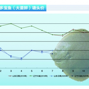 �����~���Ј��������ޣ����鷀���н�������ˮ�aǰ�ء�2020��8�¿��Ј�څ��