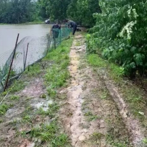 ���L(f��ng)������u�����Ўחl�����������h������