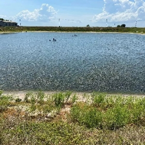 �����Ĳ��_���~�����Bֳ�Ć��}�����h