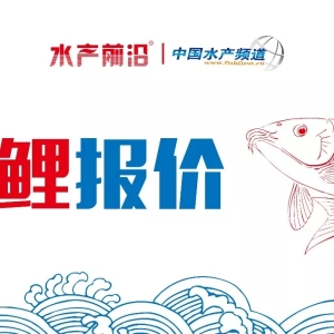 ���������~�����~�r����ڃȟo�����C��