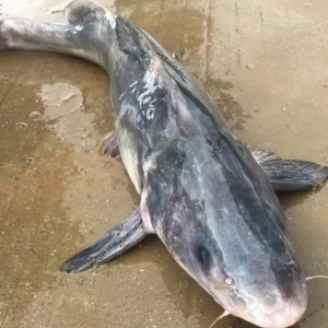 ���ַ�(w��n)����8��10�ո��ؽ��F(tu��n)���^����(b��o)�r(ji��)