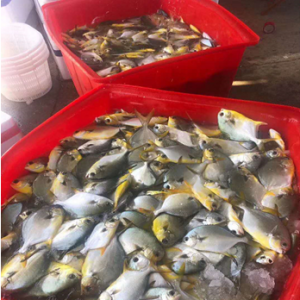 �ߜ��½��K�~Σ�C�ķ��������A����С���x��