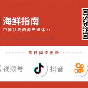 2020 �Ї� �� �����������~�a�I�lչ�߷�Փ��