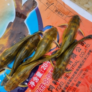 ��ɽ��𱻡�ϴ�_����8������2�κ�ˮ���S��~����ˮ���~���~�rҪ�q��|�����ؼs