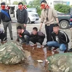 С�ģ�͵�~�\���]���Bֳ��˲�g�pʧ3�fԪ