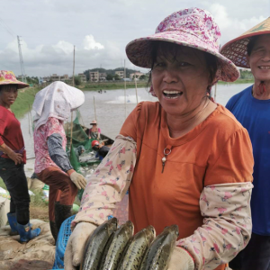 ���|ˮ܇�r���µ�����܇���Нq��