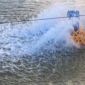 @�����B(y��ng)ֳ�����㶮�ƌW(xu��)�ĵ׆᣿�����ɱ����ͣ�Ч�����ã�