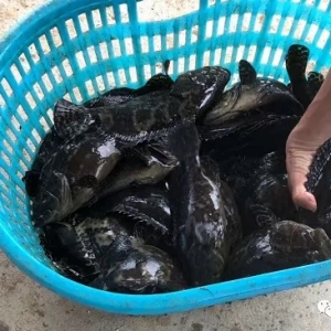 ��ߝq3Ԫ/����ʯ���~�����ػ���܉��