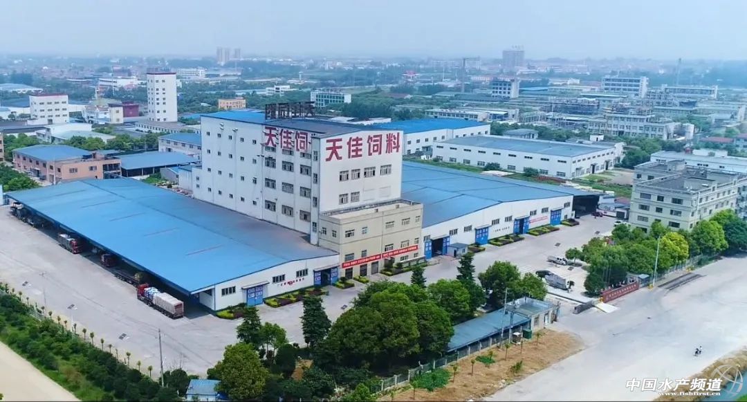 ʮ?d��ng)?sh��)����������ѵ춨�^(q��)�����^����һ�������ز��֣�