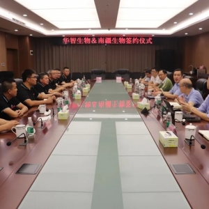 ���ƺ����N������������N�r�������r�N�Iӭ�����D�C