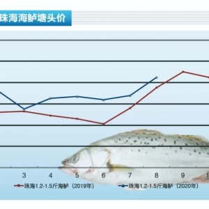 ���|���f�~�����������r��ȫ���ϝq������ˮ�aǰ�ء�2020��9�¿��Ј�څ��