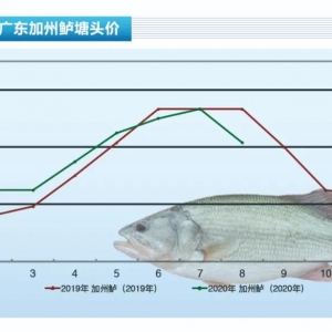 �����|���V�|���~���У��~�r(ji��)���»�������ˮ�a(ch��n)ǰ�ء�2020��9�¿��Ј�(ch��ng)څ��(sh��)