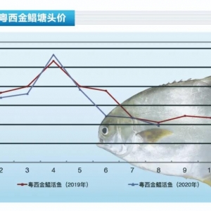 ���K�~���J��С���x���l(f��)�����������~�r(ji��)����������ˮ�a(ch��n)ǰ�ء�2020��9�¿��Ј�(ch��ng)څ��(sh��)