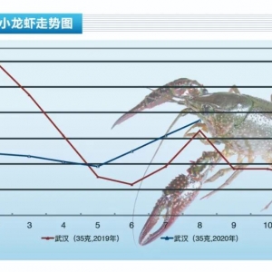 С���r�����r��������С�r�r��Ч�����ޡ�����ˮ�aǰ�ء�2020��9�¿��Ј�څ��