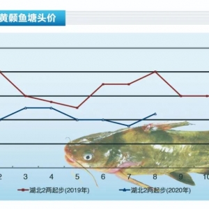 �S��~���ߜ��\(y��n)ݔ�L(f��ng)�U(xi��n)�ߣ����~܇�p�كr(ji��)�µ�������ˮ�a(ch��n)ǰ�ء�2020��9�¿��Ј�(ch��ng)څ��(sh��)