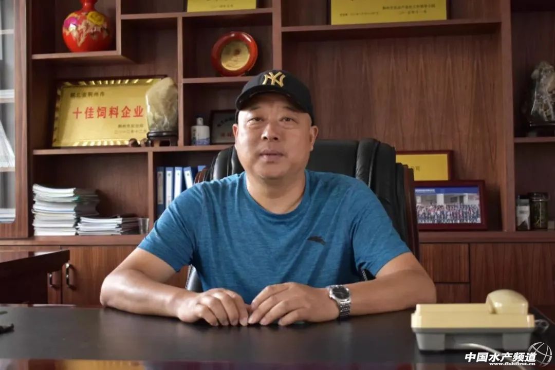 ���Ó�f��������΄�(chu��ng)�£����r(n��ng)������F(xi��n)����