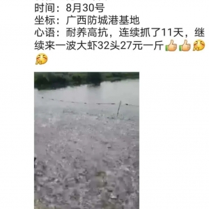 �o���a؛���@���ҹ�����r�����r�r�֝q�����rҲ�q5-10Ԫ/�����Ј�Ҫ�֏��ˣ�