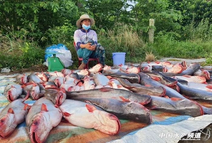 ��10�|��Ԫ���~������֣��@�l�~���׽�(j��ng)�v��ʲô