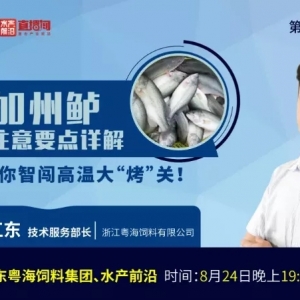 �����|�°�������������ߜؼ���(ji��)������(j��ng)�(y��n)����