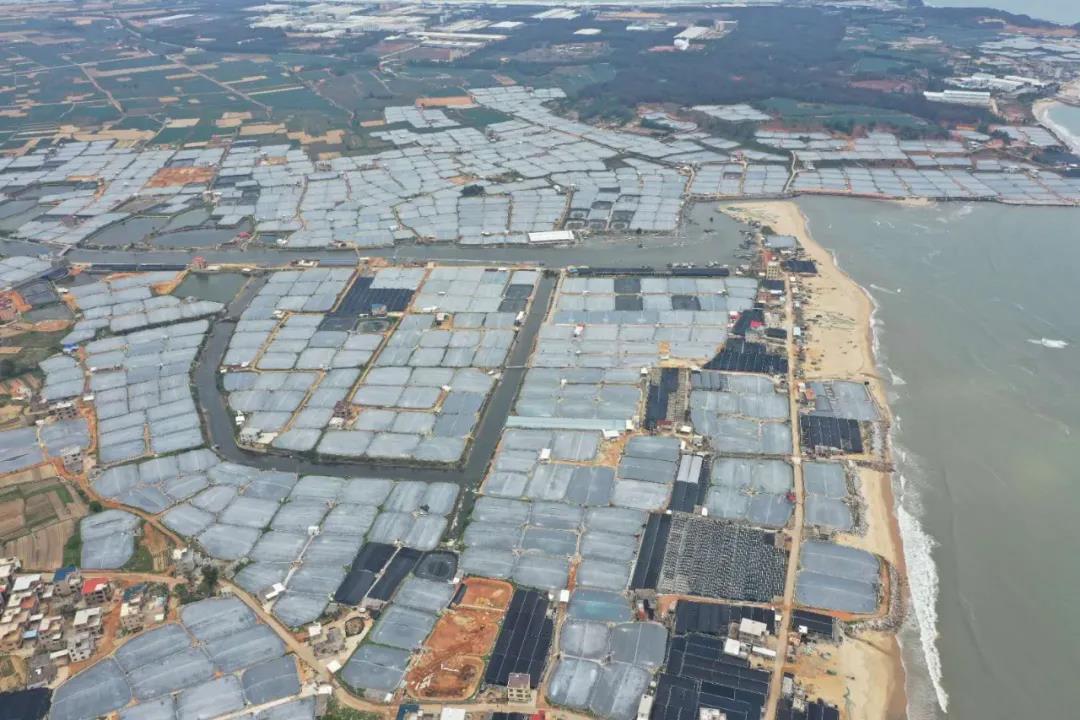 ���a(ch��n)��13000������r�B(y��ng)ֳ����󱬰l(f��)