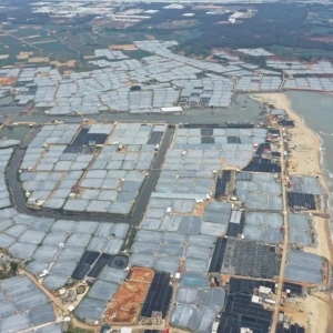 ���a��13000������r�Bֳ����󱬰l