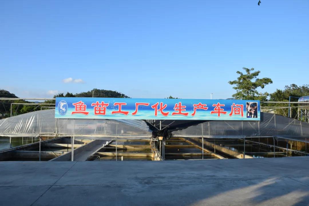 ����N��26�꣬��a(ch��n)12�|β��(y��u)�|(zh��)ˮ����