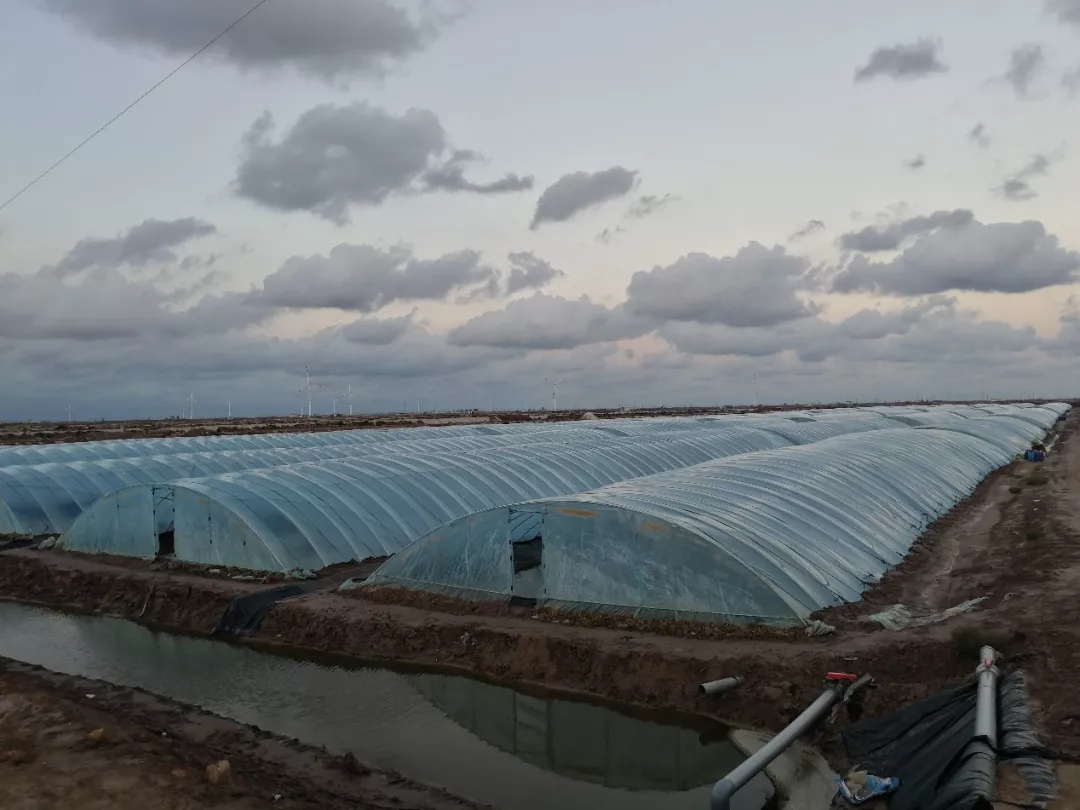 �����s�����ɿء�����Ч��ɽ�|С���B(y��ng)�r����