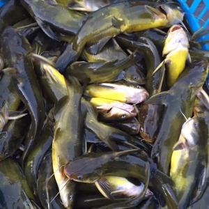 ���ַ�����2020��9��14�ո����S��~���^�r�񲥈�