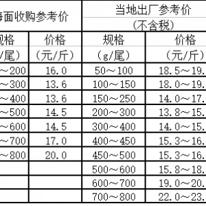 2020��09��15�մ��S�~���鲥��