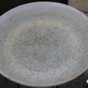 ����r(ji��)�������|ˮ���⯂������(y��n)�ع�����(y��ng)��