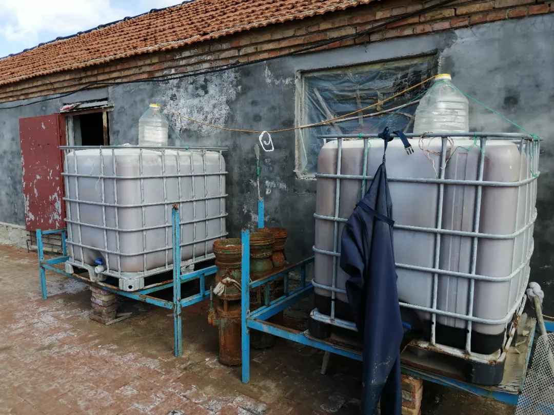 ���^�����⛏�(f��)���}�Ƅ����B(y��ng)ֳ��ˮ������B(t��i)Ӱ��c����Ч���^��