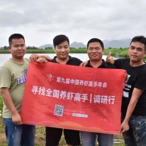 һ����B�����r���������Ĵ��B�r����Փ����������˼�S