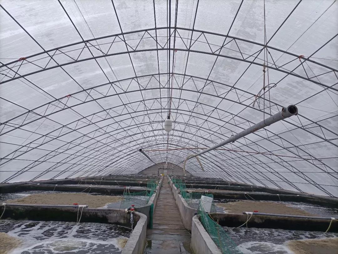 �B(y��ng)�r���y��һ�꣬��߀�B(y��ng)��20��/���a(ch��n)����ÿ�����Ӷ��ɹ�