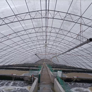 �B�r���y��һ�꣬��߀�B��20��/���a����ÿ�����Ӷ��ɹ�