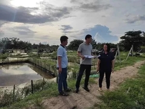 ӭ���У��ڰ�����ߝq2Ԫ/�ţ��ҲҪ�q��