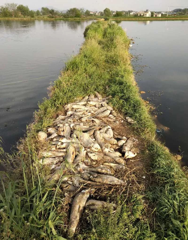 �B(y��ng)ֳ�y�󣬡���w���B(y��ng)�~��һ݅�ӽ��W(xu��)�M