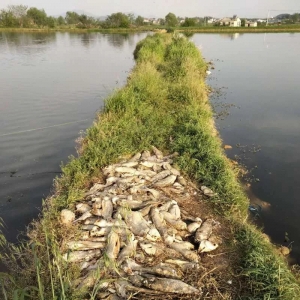 �B(y��ng)ֳ�y�󣬡���w���B(y��ng)�~��һ݅�ӽ��W(xu��)�M(f��i)