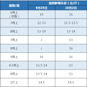 �~�r��ס����Ҏ������|���f���֣�